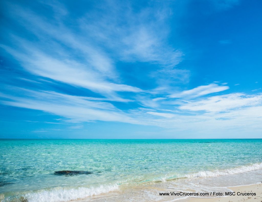 Ocean Cay MSC Marine Reserve Vistas